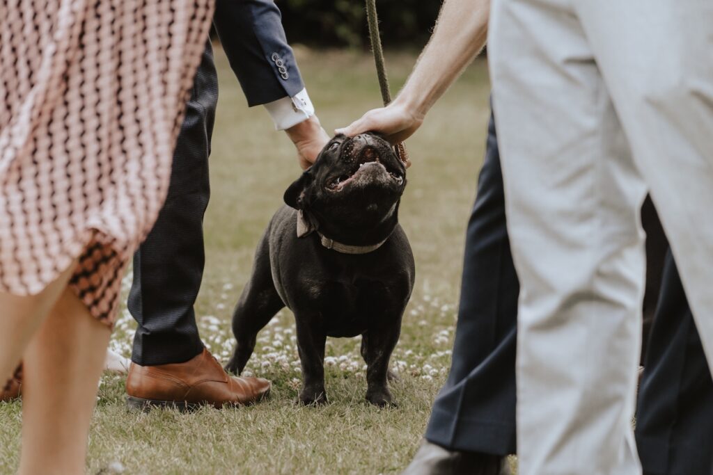 Candid moments during the drinks reception at Pentney Abbey in Norfolk