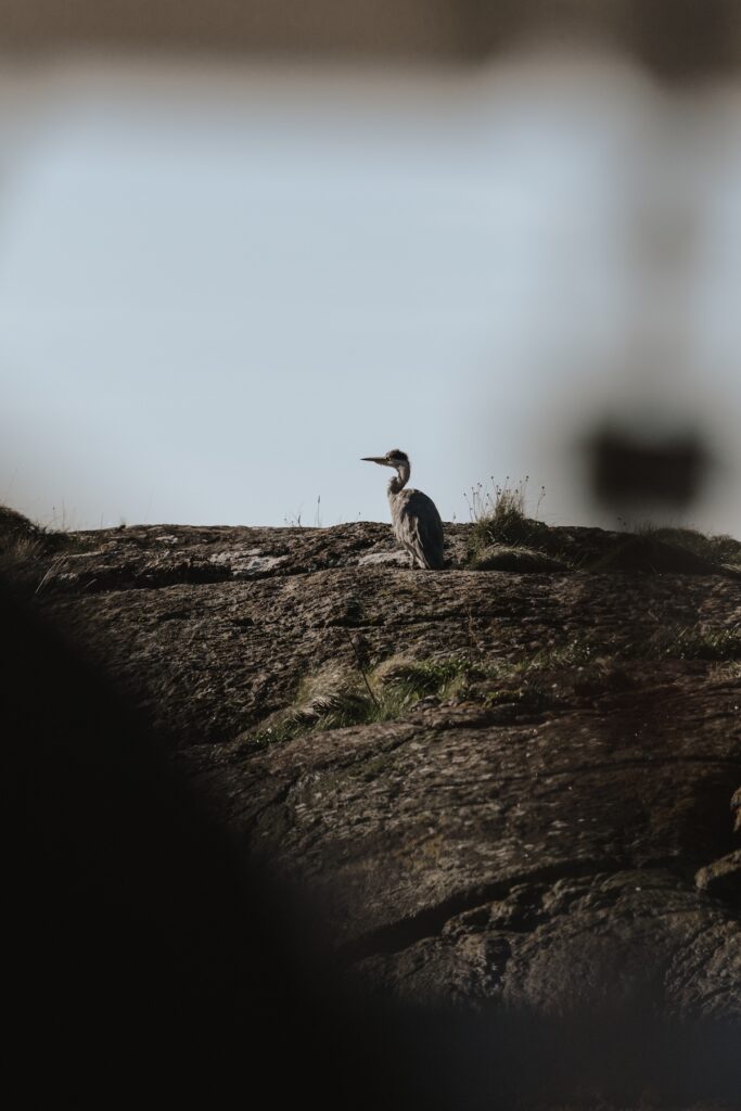 Loch Coruisk elopement photographer on the Isle of Skye