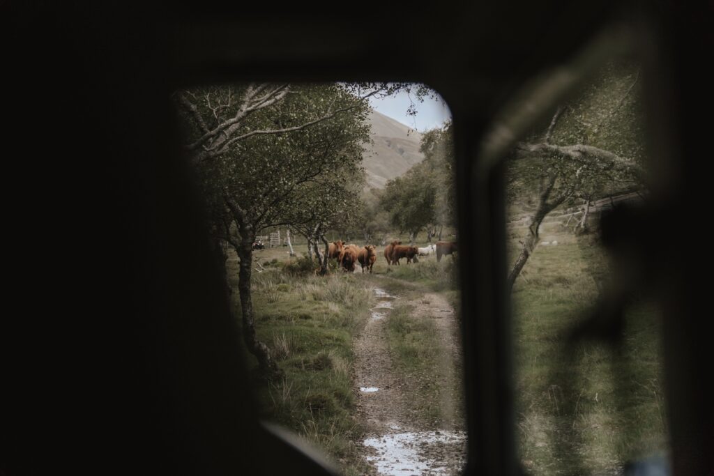 Elopement photographer capturing the landscape of the Isle of Mull