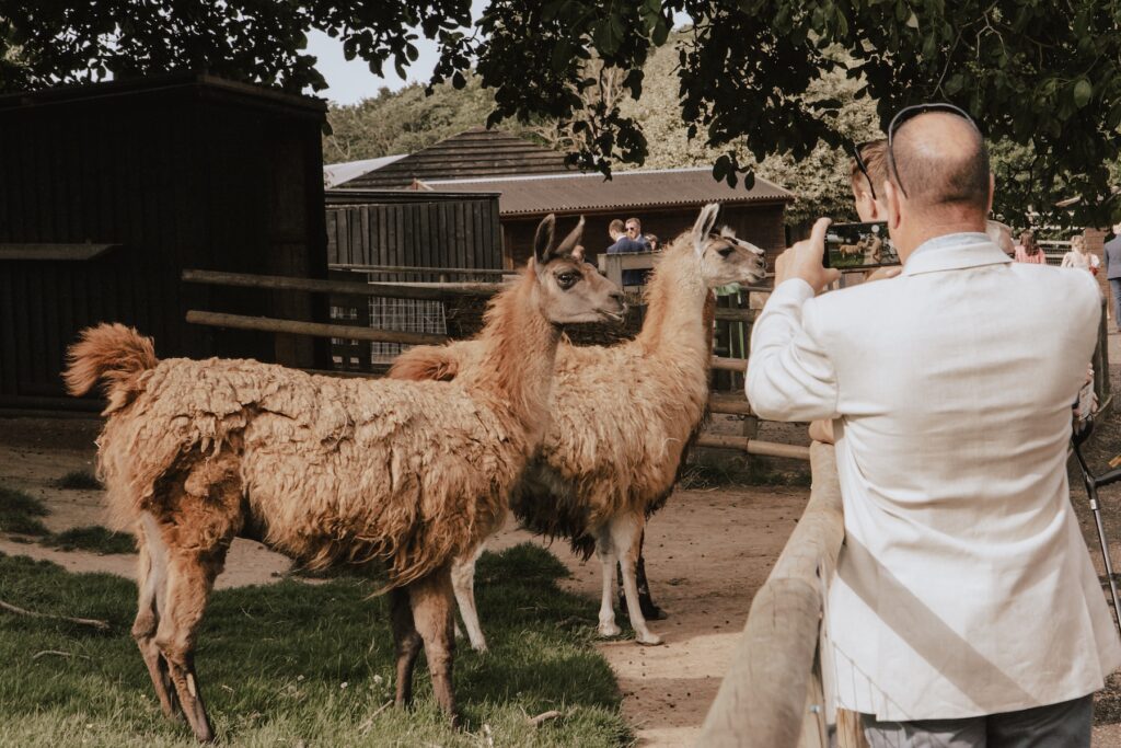 Guests laughing during zoo park access hour at Jimmy’s Farm in Suffolk