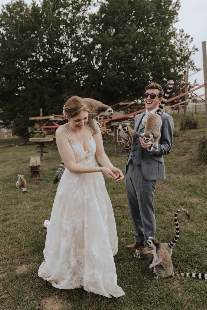Suffolk wedding photographer capturing the couple with their lemur experience at Jimmy's Farm
