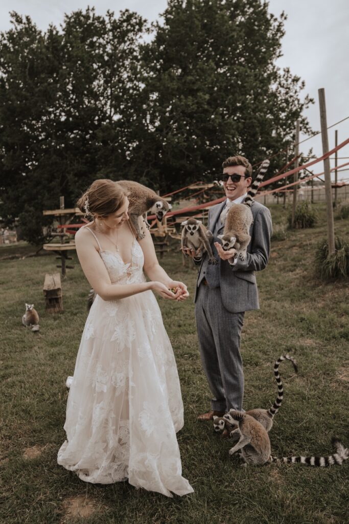 Jimmy's Farm wedding photographer capturing the couple interacting with lemurs