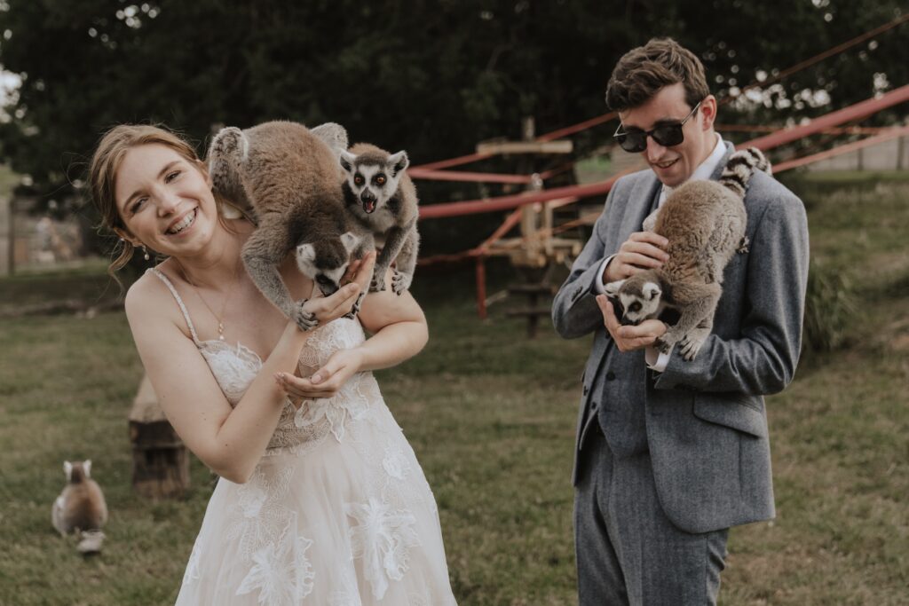 Wedding photographer in Suffolk having a lemur experience at Jimmy's Farm