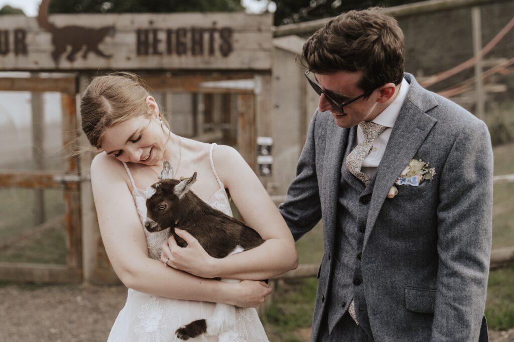 Baby pygmy goat at Jimmy’s Farm wedding — fun Suffolk wedding moment
