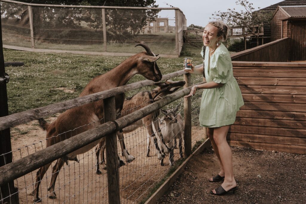 Natural candid photography of wedding guests exploring Jimmy’s Farm zoo