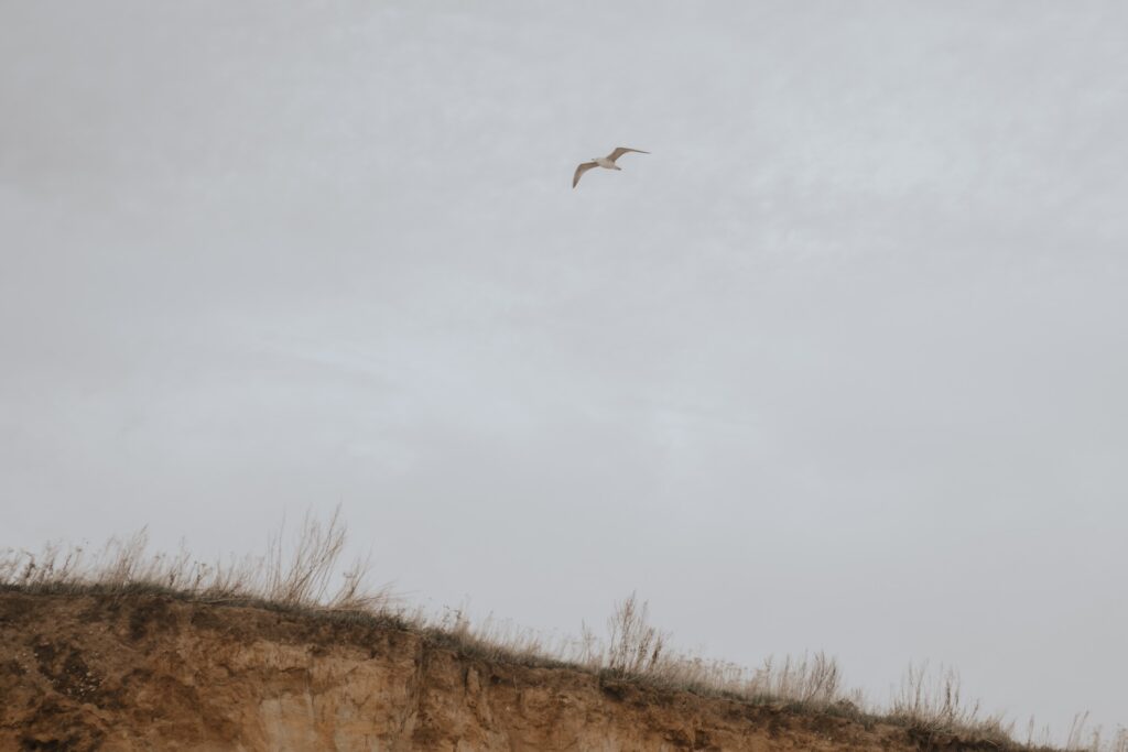 Covehithe beach in Suffolk
